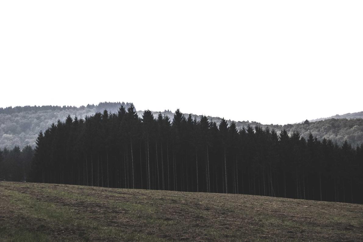 Fugit qui pariatur